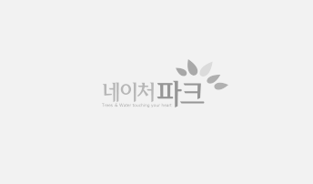 네이처파크